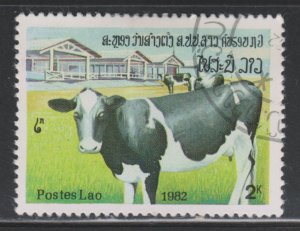 Laos 421 Cows. Farm 1982