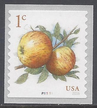 #5037 1c Apples PNC Single #P11111 2016 Mint NH