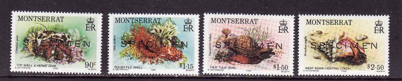 D1-Montserrat-Scott#543-6-Unused NH-Marine Life-1984-Specime