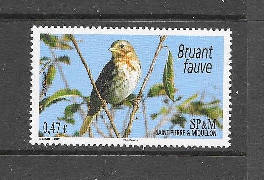 BIRDS - ST PIERRE and MIQUELON #884  MNH