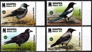 BELARUS 2024-08 FAUNA Animals Birds: Corvids. Crow Magpie etc., MNH