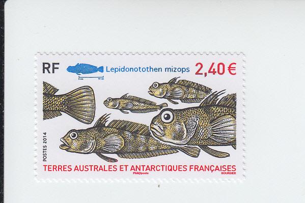 2014 FSAT TAAF French Antarctic Fish (Scott NA)