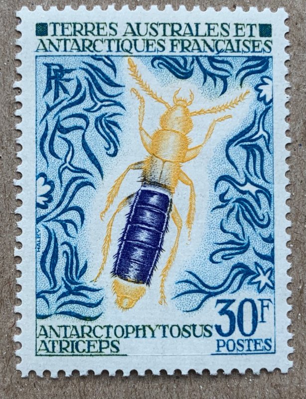 FSAT 1972 30fr Antarctic Insects, MNH. Scott 49, CV $15.00