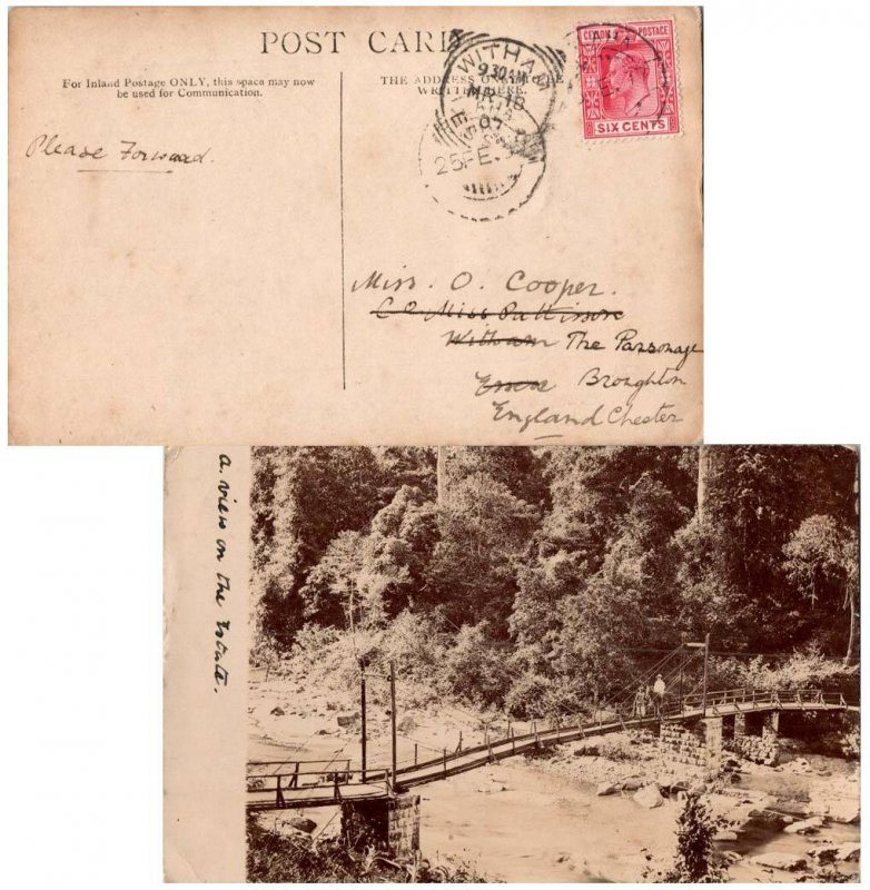 Ceylon 6c KEVII 1905 Gampaha PPC (A View of the Estate showing a river bridge...