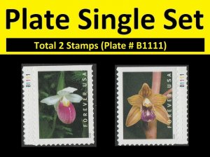 US 5447 5448 Wild Orchids F plate single set 2 MNH 2020