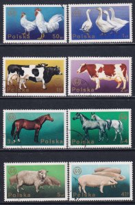 Poland 1975 Sc 2097-104 European Zootechnical Federation Congress Stamp CTO