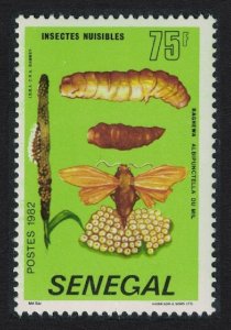 Senegal 'Rhaguva albipunctella' Harmful Insect 1982 MNH SG#748 MI#767