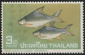 SIAM THAILAND 1967  Sc 466 3b MNH F-VF Fish - Barb