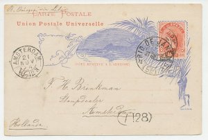 Postal stationery Brazil 1894 Palm tree - Sugar cane