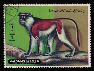 1973, Airmail - Apes and Monkeys, Ajman, 1D (RT-1368)