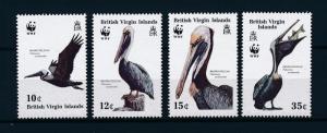 [53640] British Virgin Islands 1988 Birds Vögel Oiseaux Ucelli WWF Pelican MNH