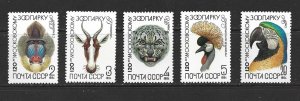 RUSSIA - 1984 MOSCOW ZOO - SCOTT 5226 TO 5230 - MNH