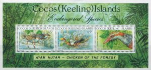 Cocos Islands 1992 SG269 Buff-banded Rail MS MNH