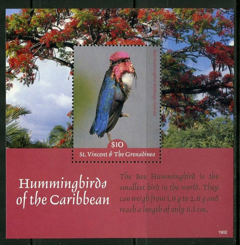 ST. VINCENT 2019 HUMMINGBIRDS OF THE CARIBBEAN SOUVENIR SHEET MINT NEVER HINGED 