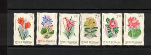 Romania Sc 2950-5 MNH of 1980 - Flowers - HM05
