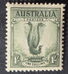 Stamp Australia 1956 Male Lyrebird A16 #300 MNH