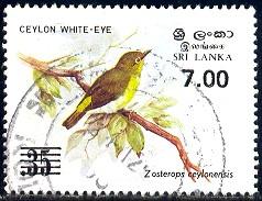 Bird, Ceylon White-Eye, Sri Lanka stamp SC#780A used