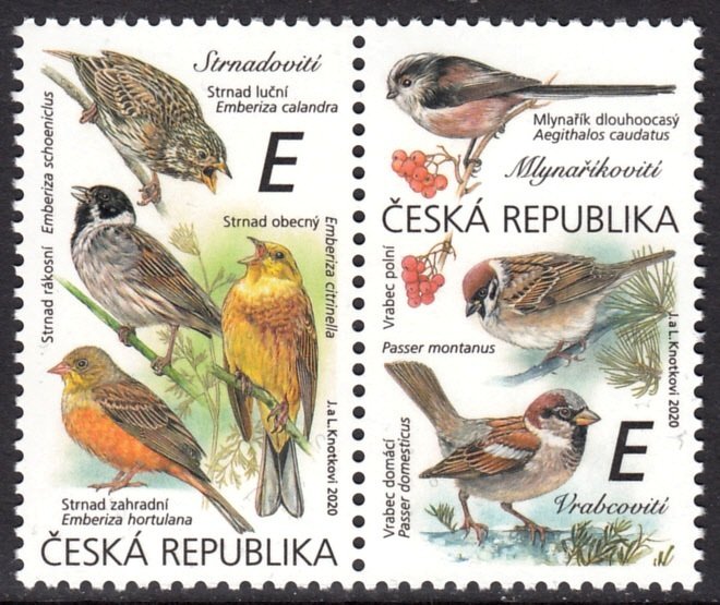 CZECH REPUBLIC 2020 BIRDS OISEAUX VOGEL UCCELLO AVES [#2001]