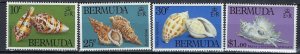 Bermuda 419-22 MNH 1982 Sea Shells (ak1566)