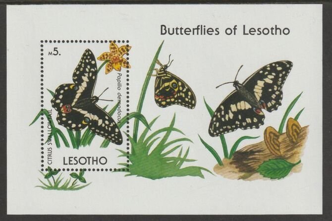 LESOTHO - 1990 - Butterflies - Perf Min Sheet - Mint Never Hinged