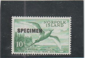 Norfolk Island  Scott#  41  MH  (Specimen) (1966 Red-Tailed Frigate Bird)