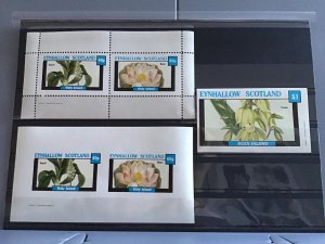 Scotland Holy Island Eynhallow Yucca  Flowers plants  MNH stamps  R24136