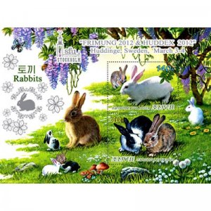 2013	North Korea	Rabbit Chines new year s/s overprint MNH	710