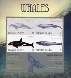 Marshall Islands 2018 MNH Whales Sperm Killer Whale 4v M/S Marine Animals Stamps