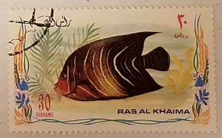 Ras Al Khaima Fish 30Dh