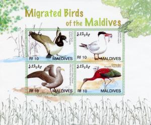 Maldives 2006 MNH Migrated Birds II 4v M/S Tufted Duck Tern Petrel Ibis Stamps