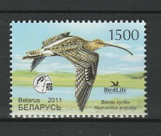 Belarus 2011 Birds MNH stamp