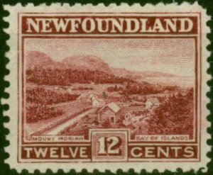 Newfoundland 1923 12c Lake SG159 Fine MM