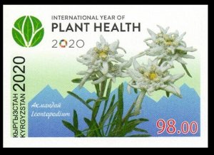 2020 Kyrgyzstan 994b International Year of Plants (edition 300)