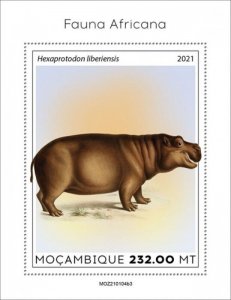Mozambique - 2021 African Fauna, Pygmy Hippopotamus - Souvenir Sheet MOZ210104b3