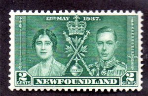 MM7859 NEW FOUNDLAND 230 MNH BIN $1.00 ROYALTY