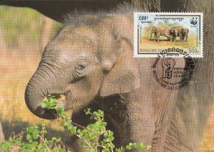 Cambodia 1997 Maxicard Sc #1597b 500r Asian elephant WWF