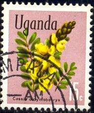 Flower, Cassia Didymobotrya, Uganda stamp SC#117 used