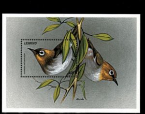 Lesotho 1999 - Birds - Souvenir Sheet Stamp - Scott #1186 - MNH