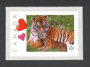 TIGER with CUB = Wild cat = Picture Postage stamp MNH Canada 2014 [p6ab4/2]