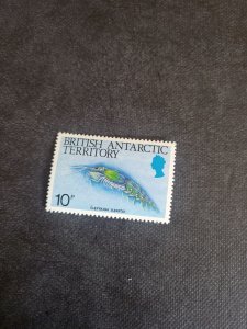 Stamps British Antarctic Territory Scott #110A never hinged