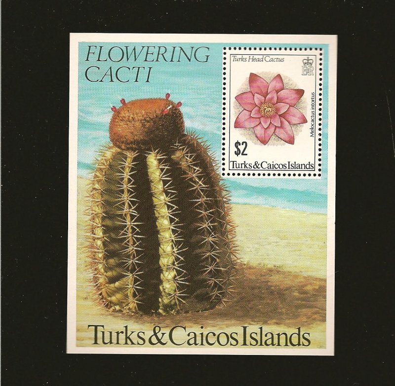 Turks & Caicos Islands 474 Flowering Cactus $2.00 Souvenir Sheet Mint Hinged