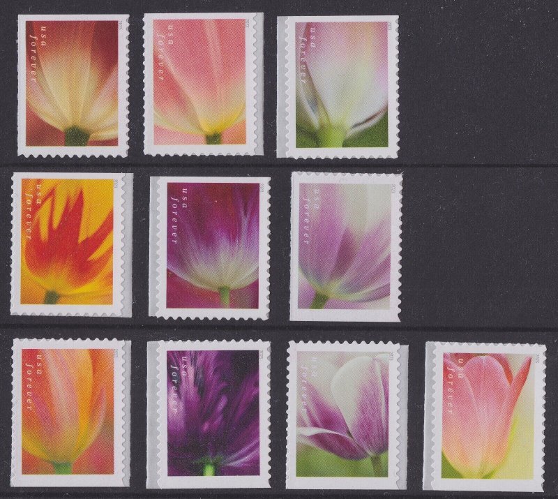 US 5777-5786 Tulip Blossoms forever set (10 stamps from booklet) MNH 2023