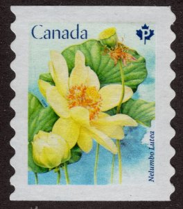 Used 3089 Yellow Lotus