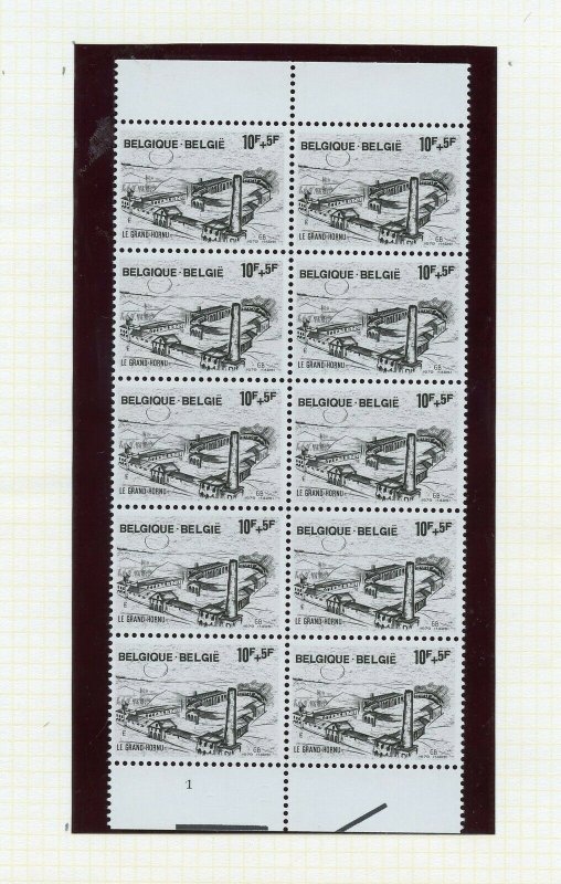 BELGIUM SELECTION B BLOCKS ON  PAGES MINT NEVER HINGED & USED