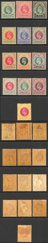 Natal SG127/39 1902 Set of 13 M/M (toned gum) Cat 275 pounds