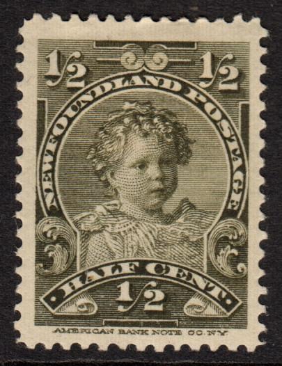 Newfoundland QV 1897 0.5c Olive SG83 Mint Hinged