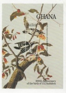 Ghana 1985 - Audubon Art, Birds - Souvenir Stamp Sheet - Scott #984 - MNH