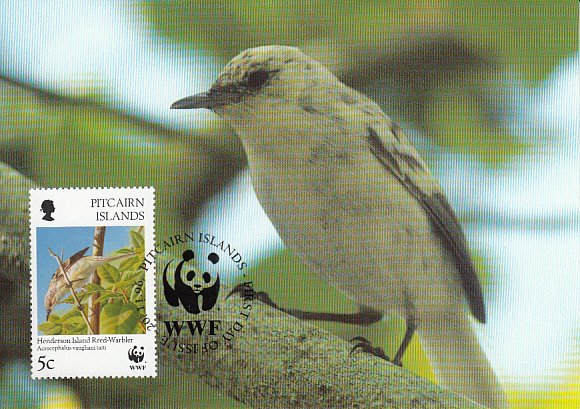 Pitcairn Islands 1996 Maxicard Sc #457 5c Henderson Island Reed-warbler WWF