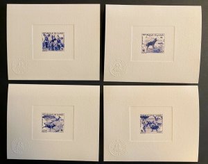 1987 Workshop Color Proofs WWF Wild Dogs Guinea-