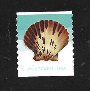 SC# 5170 - (34c) - Seashells: Callico Scallop, Coil MNH Single